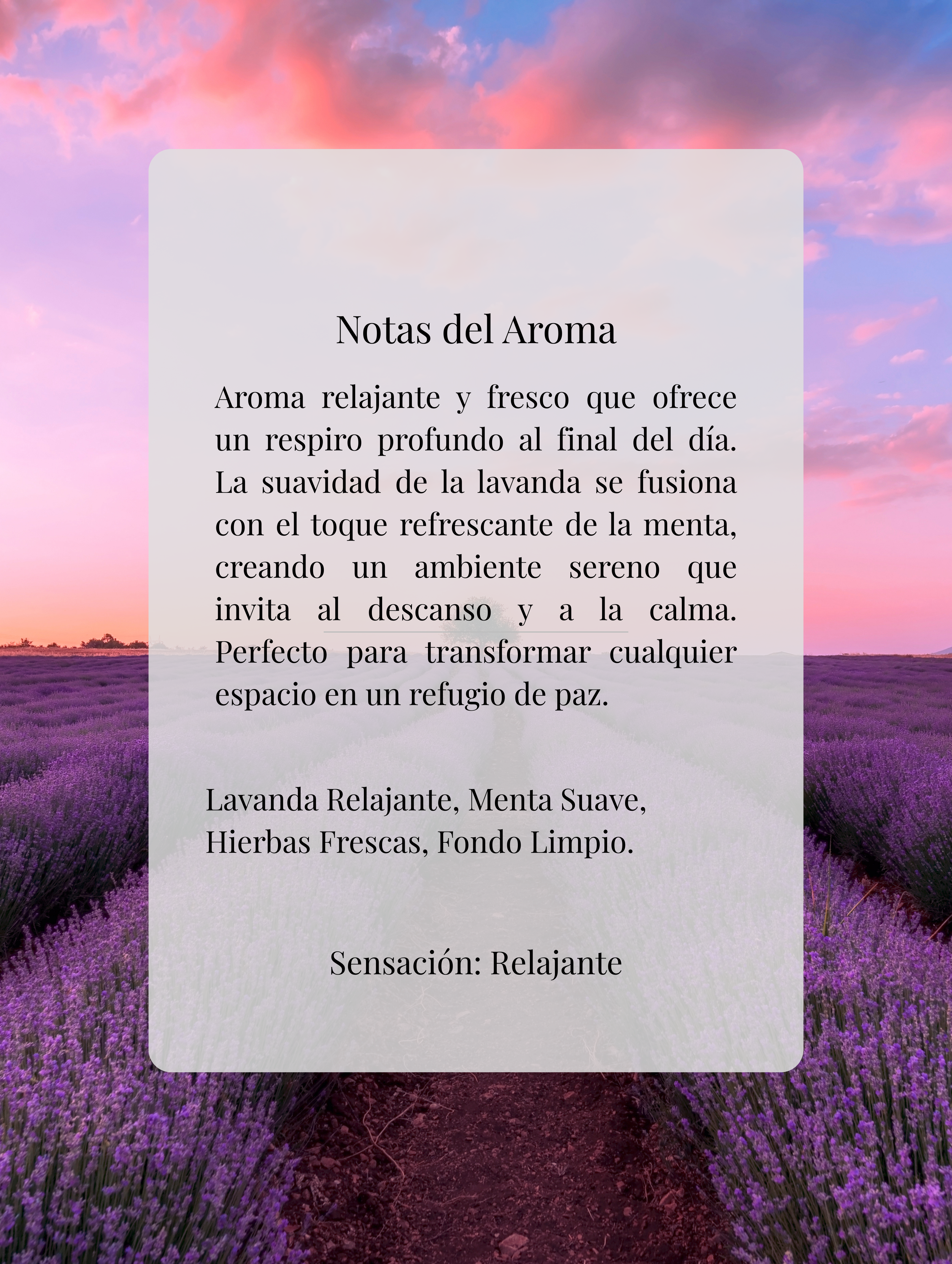 Lavanda Menta - Soft dream
