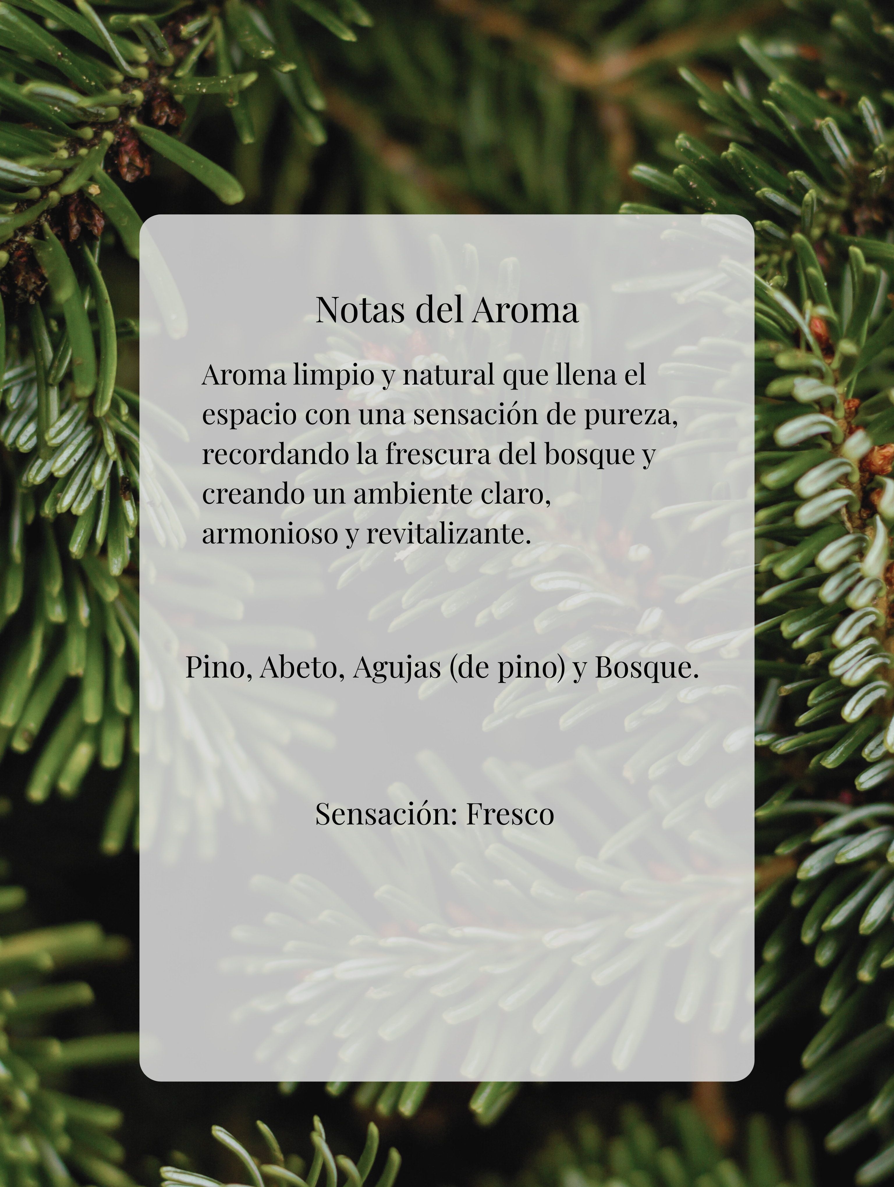 Pino de navidad